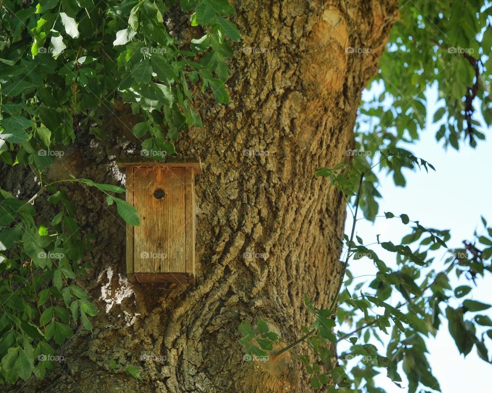 Birdhouse hanging on tree