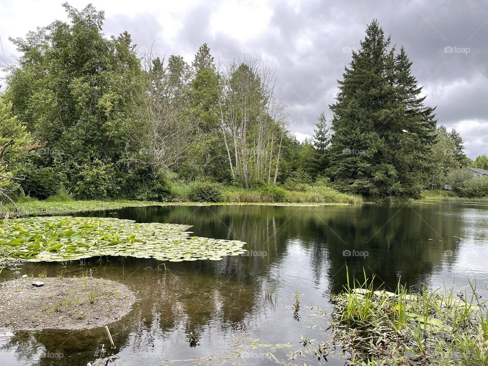 Beautiful landscape with lake and forest at cloudy day