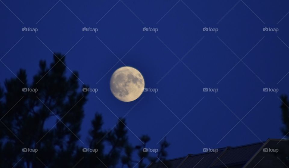 The moon on October 22nd was pretty 