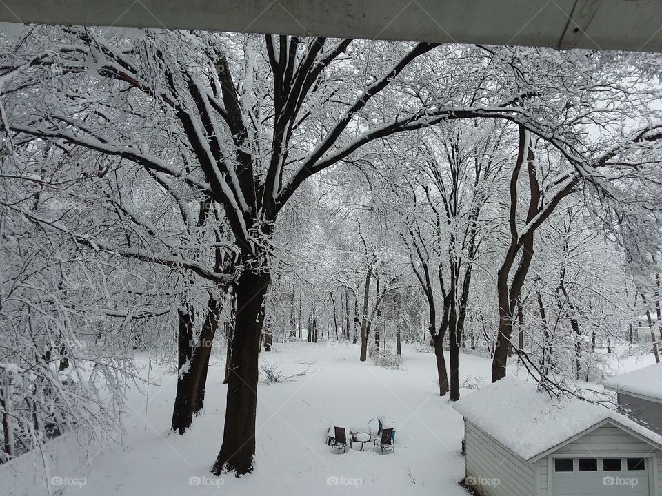 wintery landscape