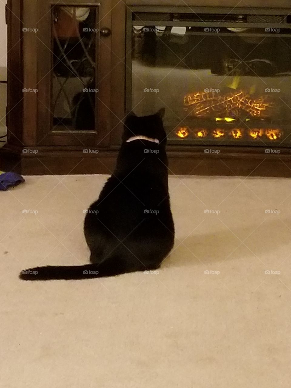 Daisy, our black cat, enjoying the electric fireplace entertainment center from Lowes, on a cold winter day.