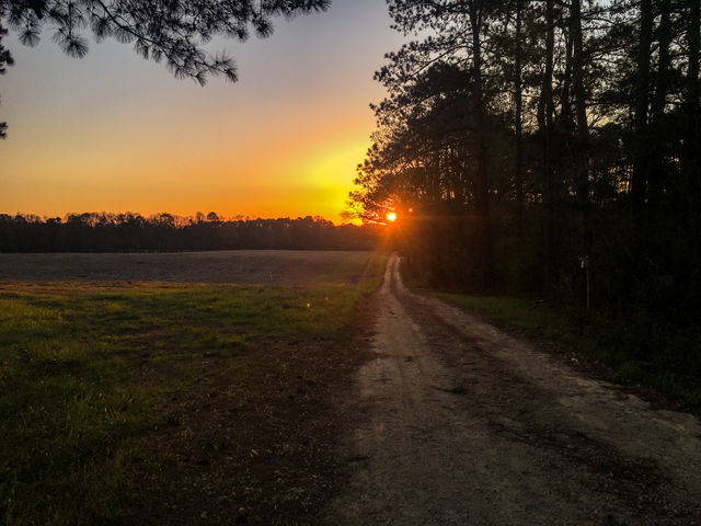 Old country road head to s beautiful golden sunrise in North Carolina. 