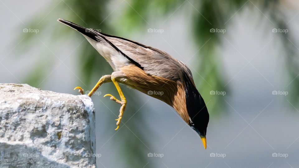 The best photo I had taken 