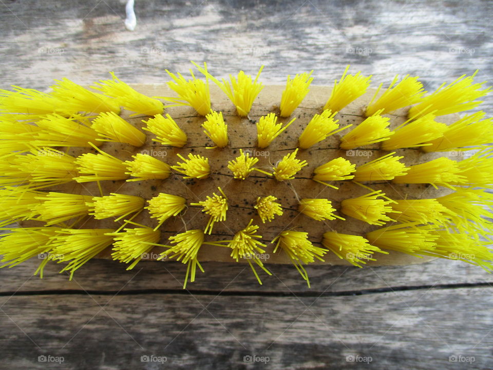 High angle view of yellow brush