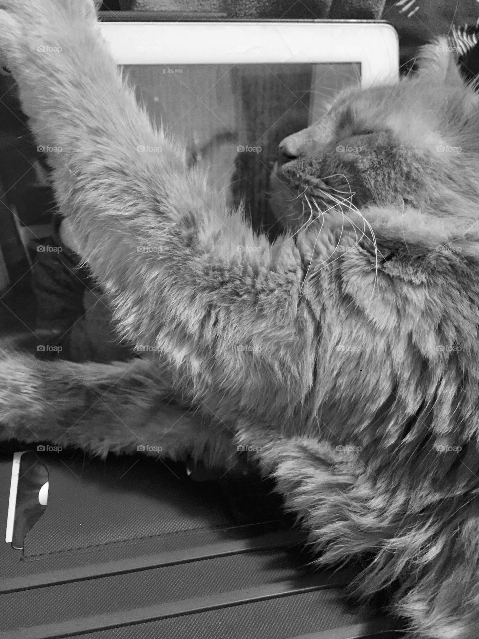 Can't leave him out of Skype 