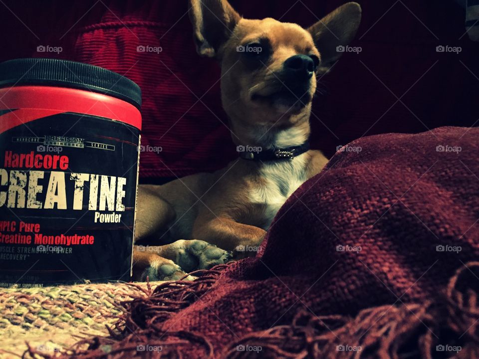 Se una bestia sin importar tu tamaño 