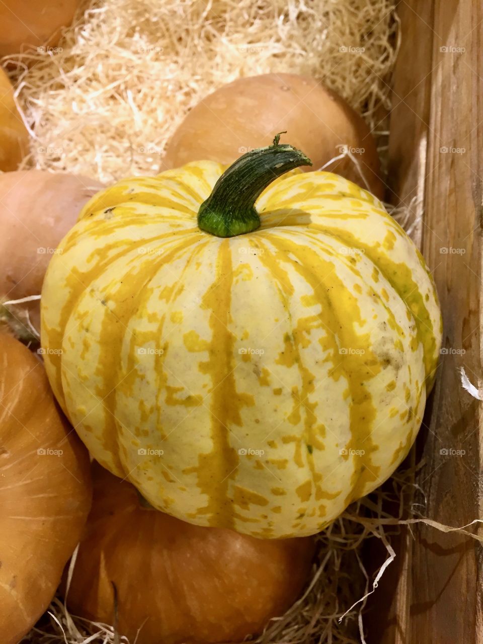 Yellow pumpkin in wooden box