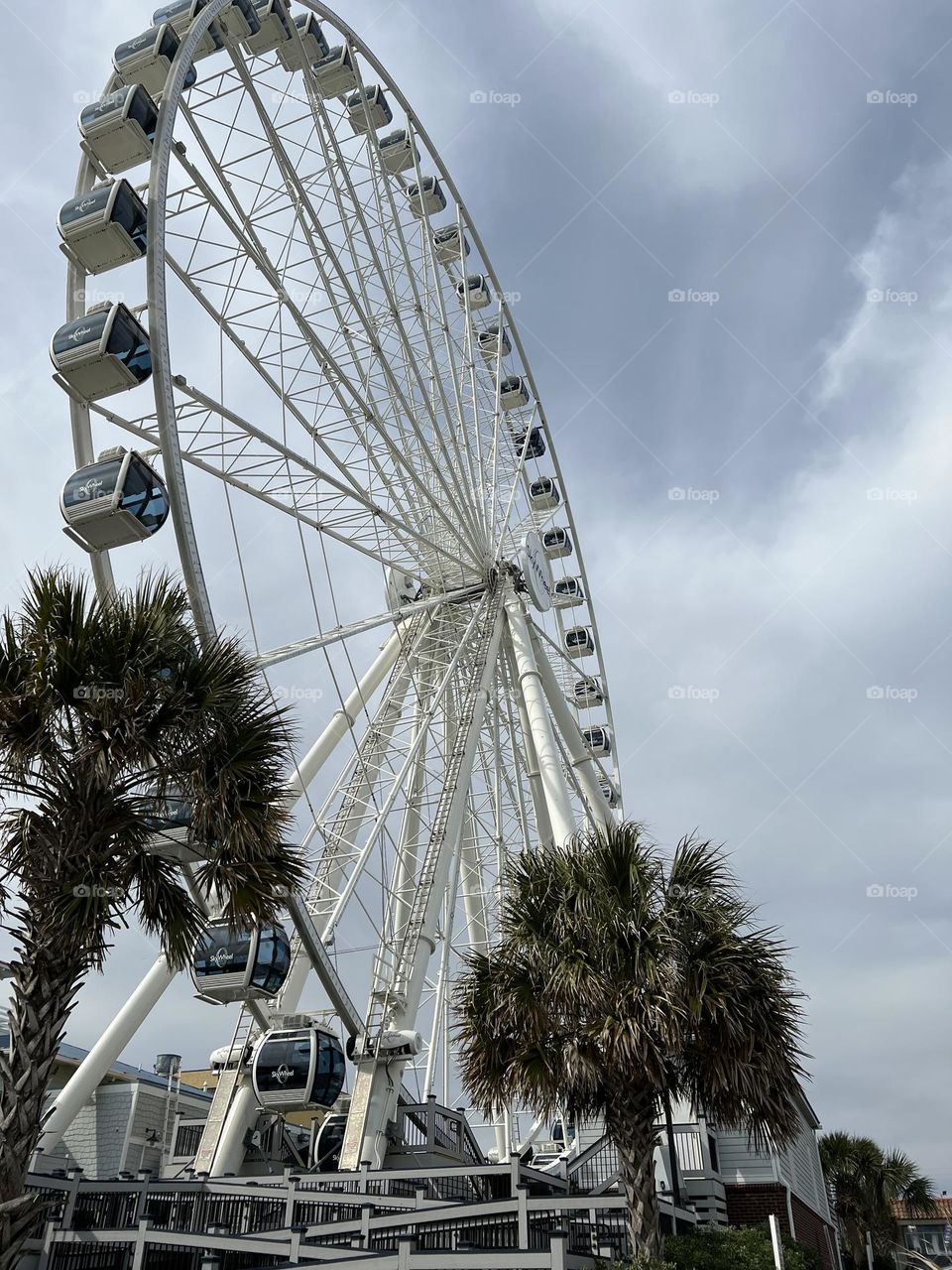 Palm Ferris wheel 