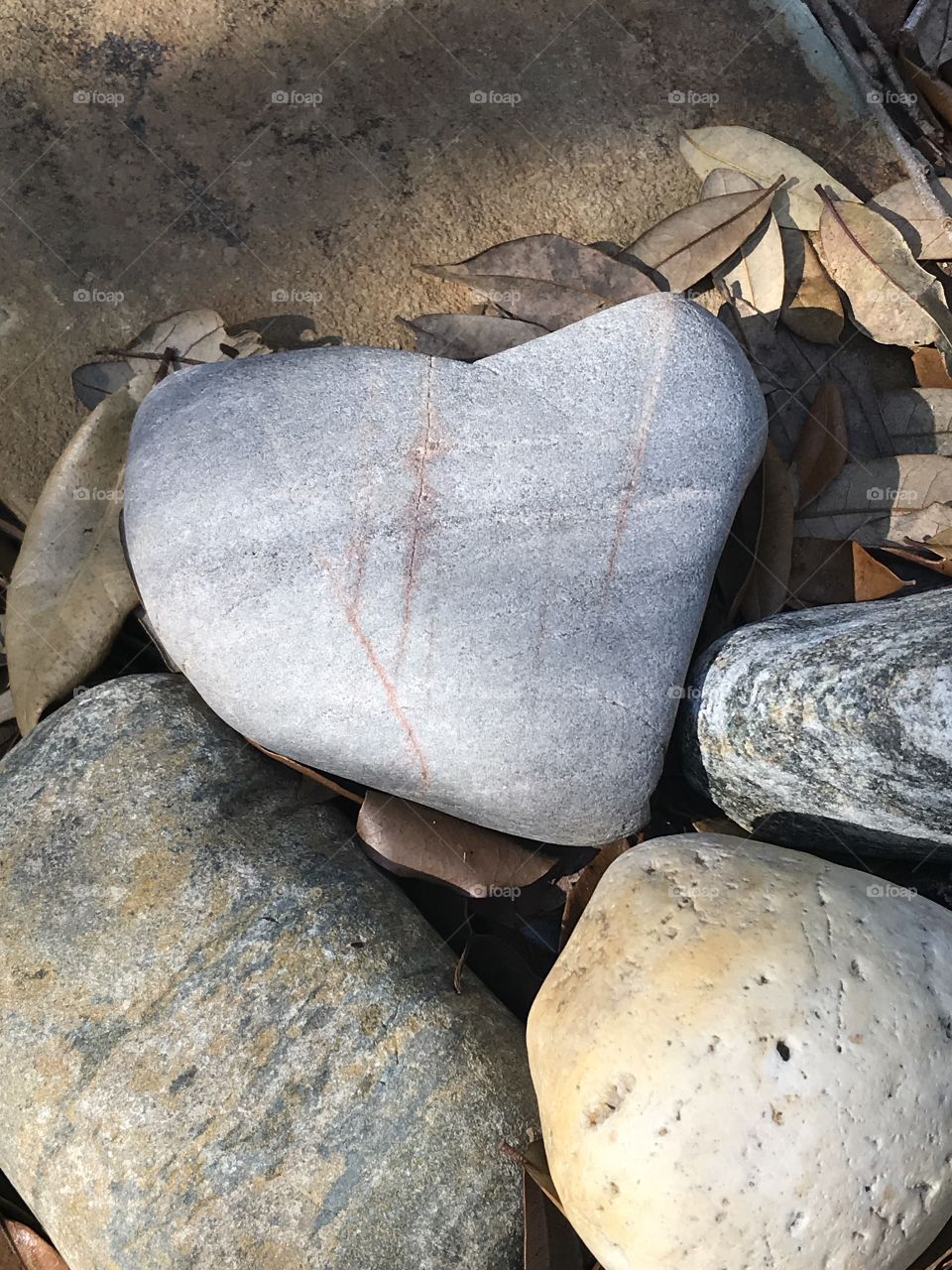 Natural heart shaped rock