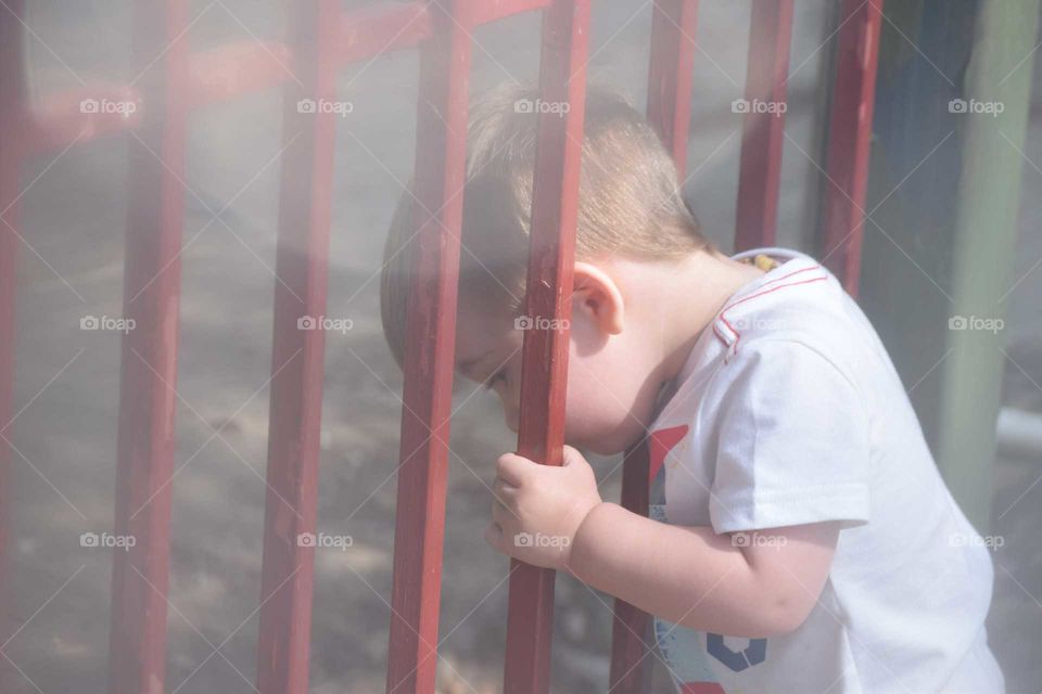 Boy looking through a fence
