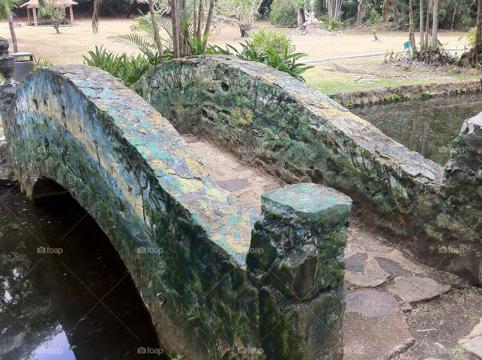 green city park bridge by edwinyee