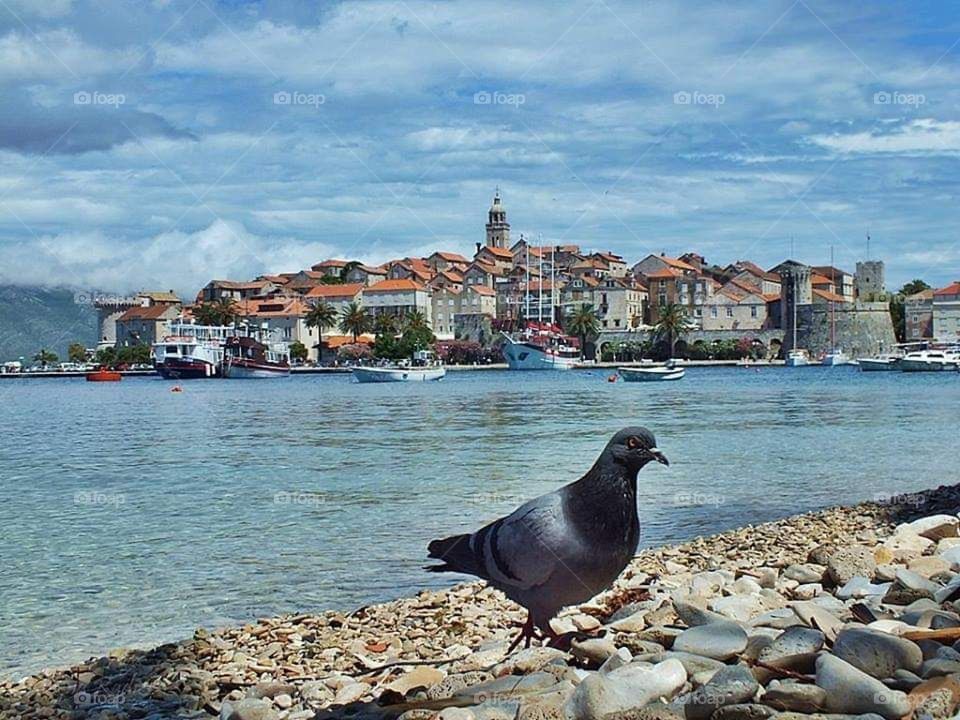 Korčula Island from to Croatia