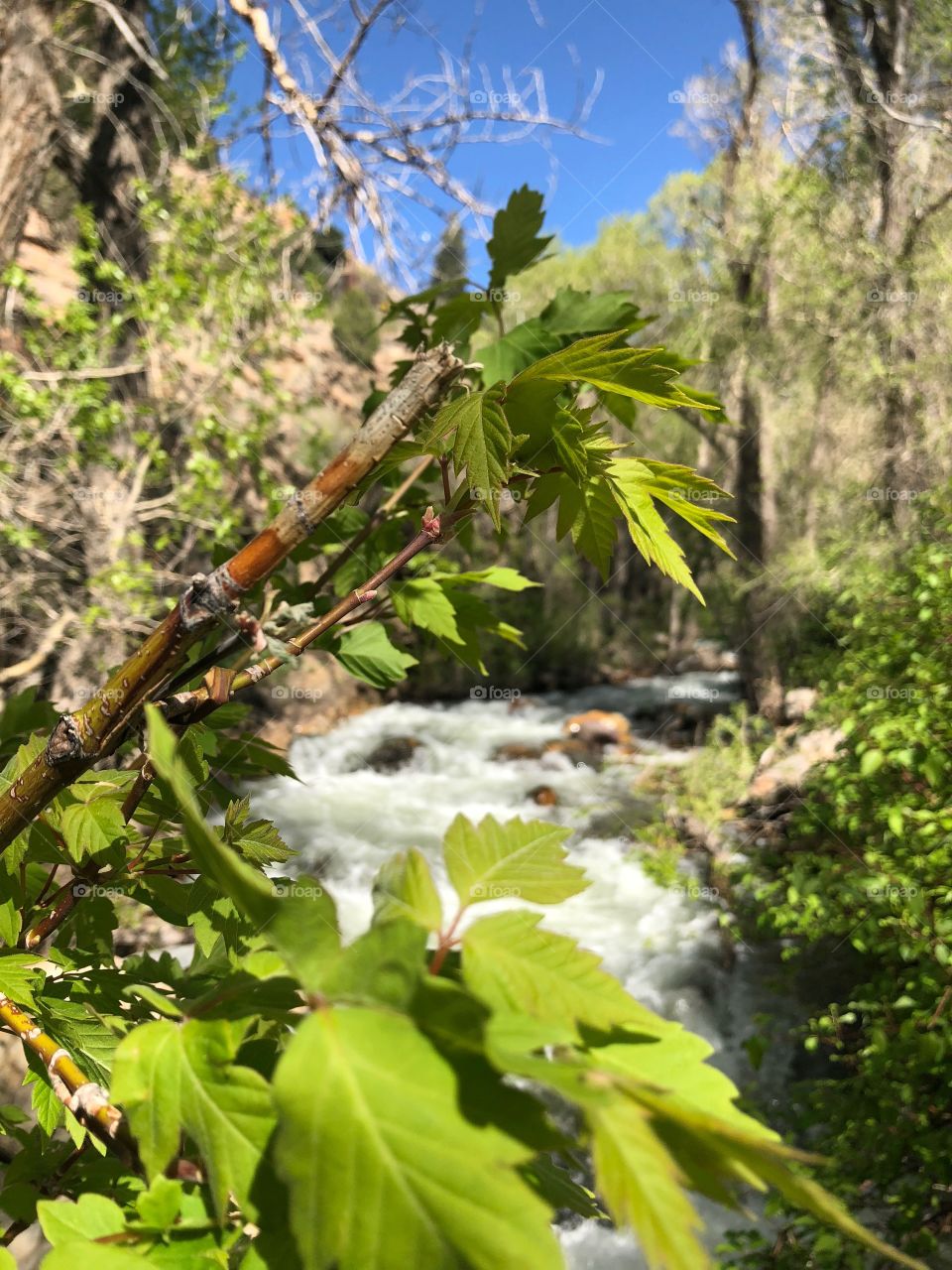 UT’s rivers