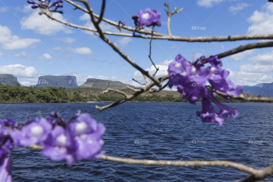 Canaima National Park in Venezuela.