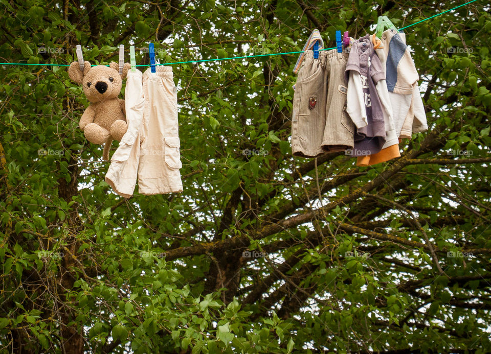 Drying Bears
