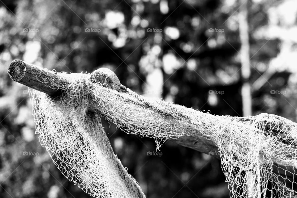 Fishing net