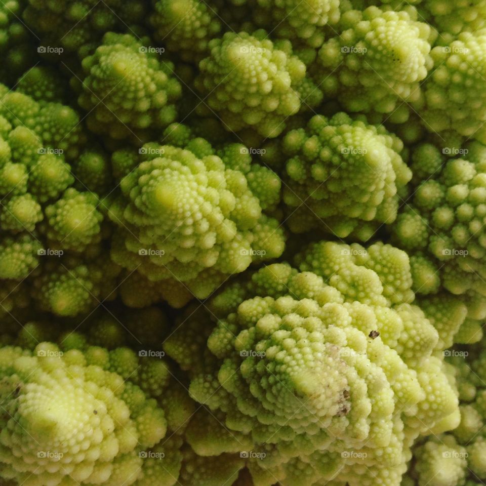 Romanesco broccoli Roman cauliflower 