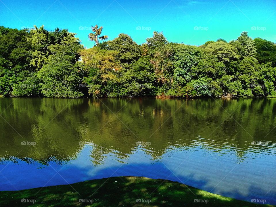 Jardim #Botânico e suas cores maravilhosas: o #céu, o #mato e o #reflexo do lago!
📸
#FotografiaÉnossoHobby 
#Paisagem #Natureza #Inspiration #Jundiaí #Photography #Photo