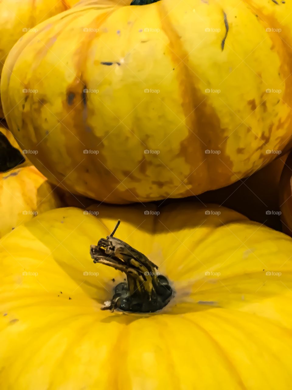 Close-up of yellow pumpkin