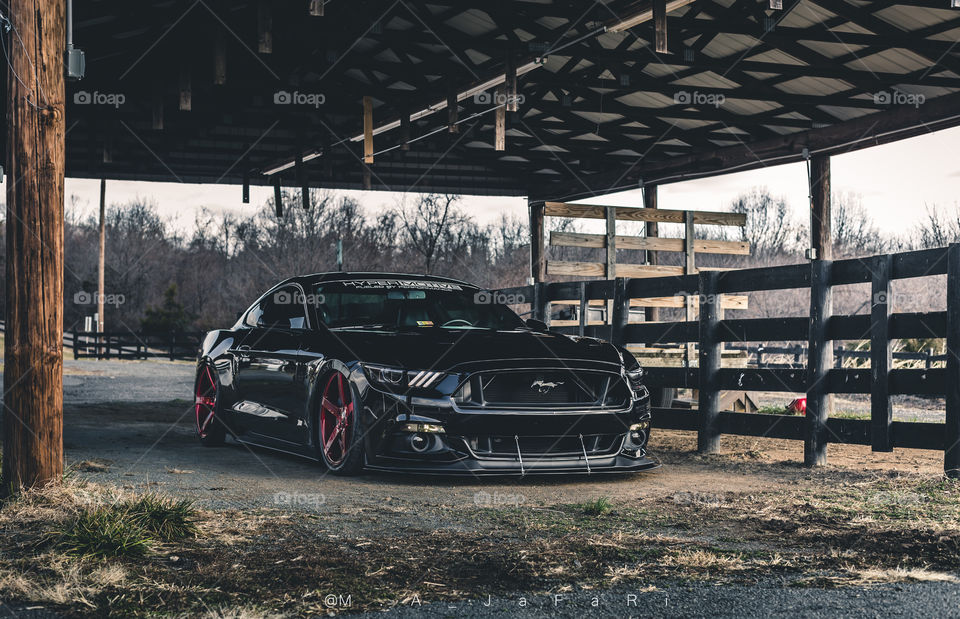 Ford Mustang in the Barn