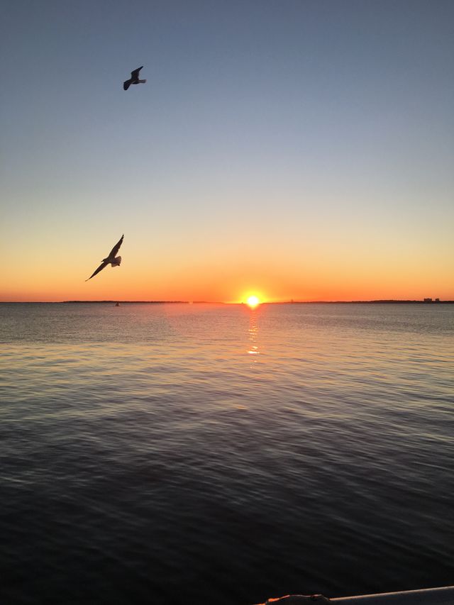 Panama City