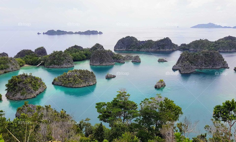 "The Islands".....
#Raja Ampat....
#West Papua...