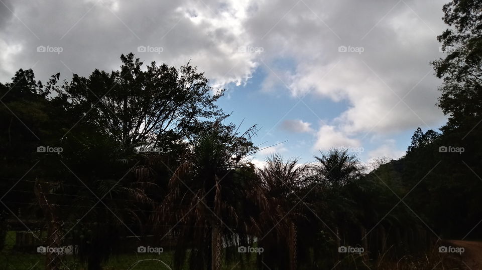 ENVIRONMENTAL NATURE NATUREZA