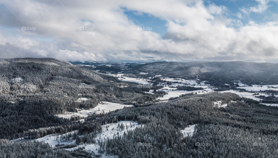 Winter Landscape