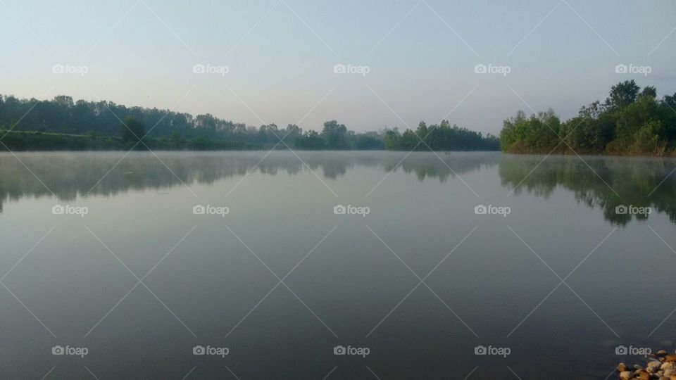 Lake, Water, Reflection, River, Tree