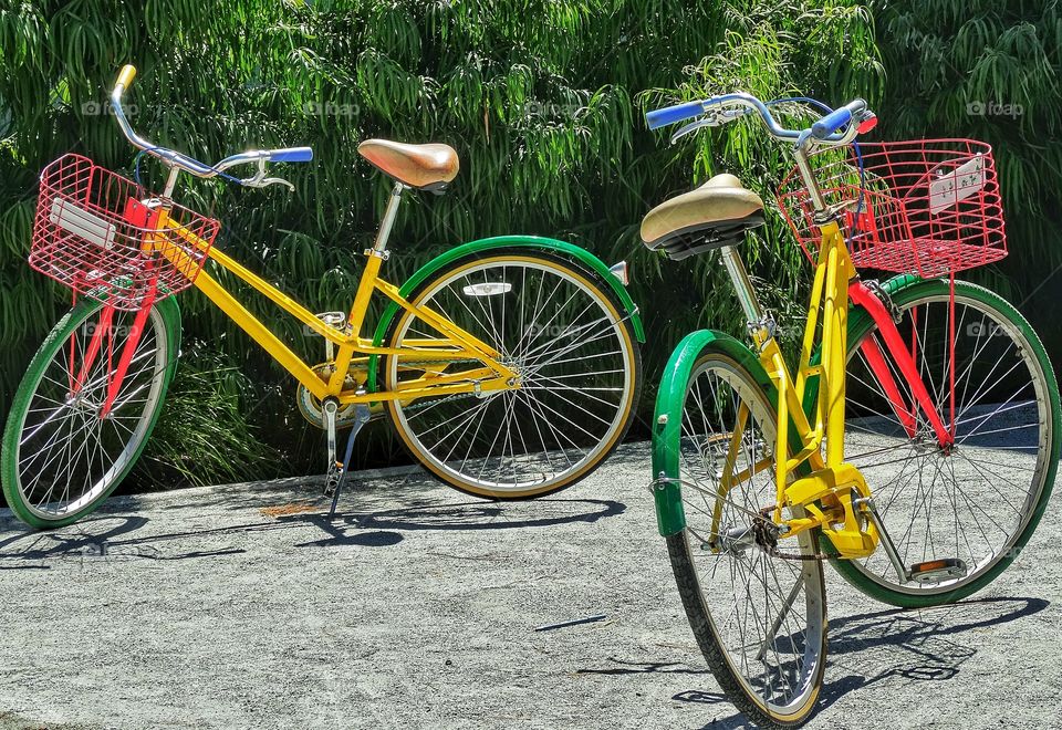 Classic Yellow Bicycles