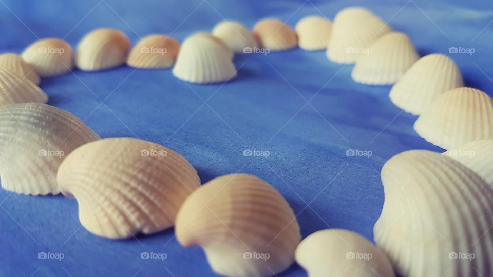 Shells like a heart