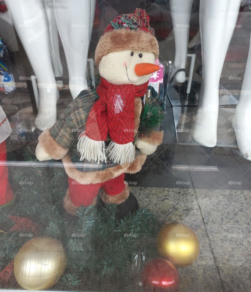 Ele é travesso , egoísta, teimoso, ingênuo e mentiroso. Mesmo com todas essas características negativas , Pinóquio, a marionete que sonha em se tornar um menino de verdade, conquistou fãs no mundo todo.