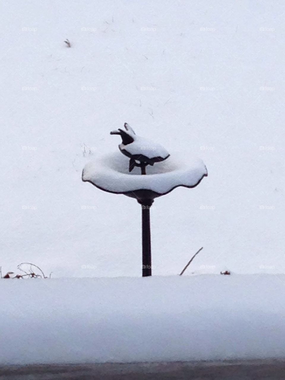 Bird feeder in the Snow
