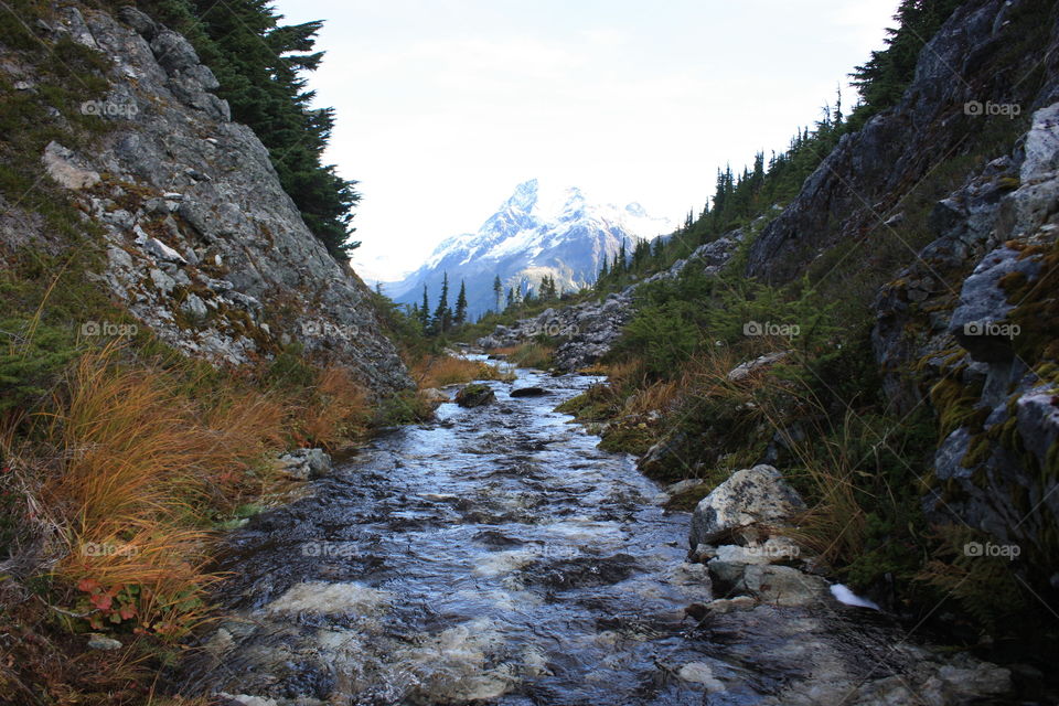 Alpine creek