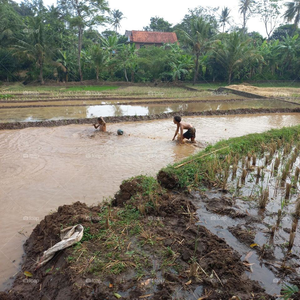 The excitement of small children playing in the rice fields