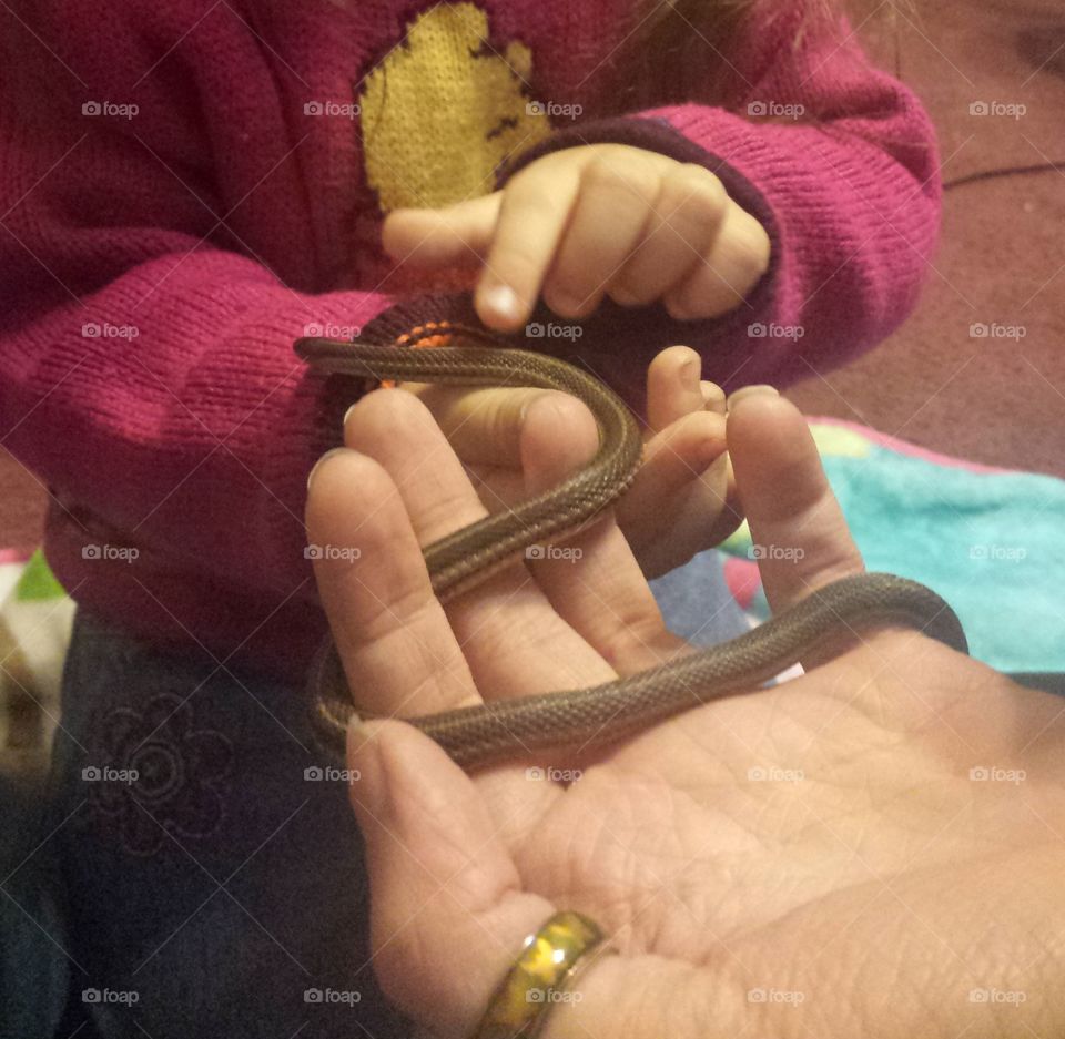 little garden snake friend