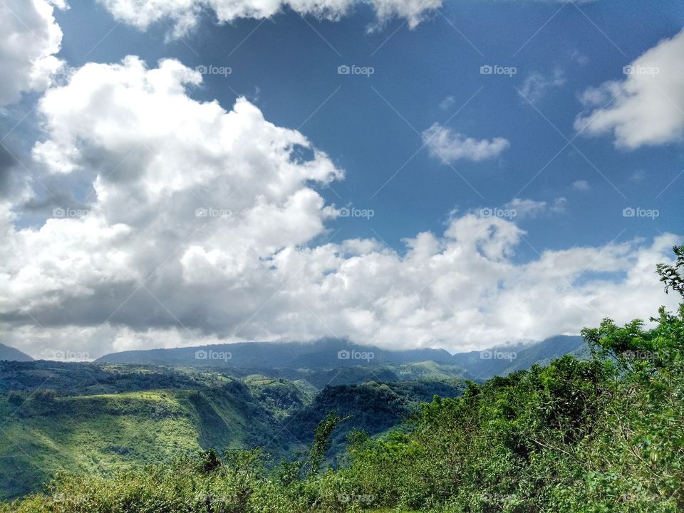 nature lover 💚💚💚