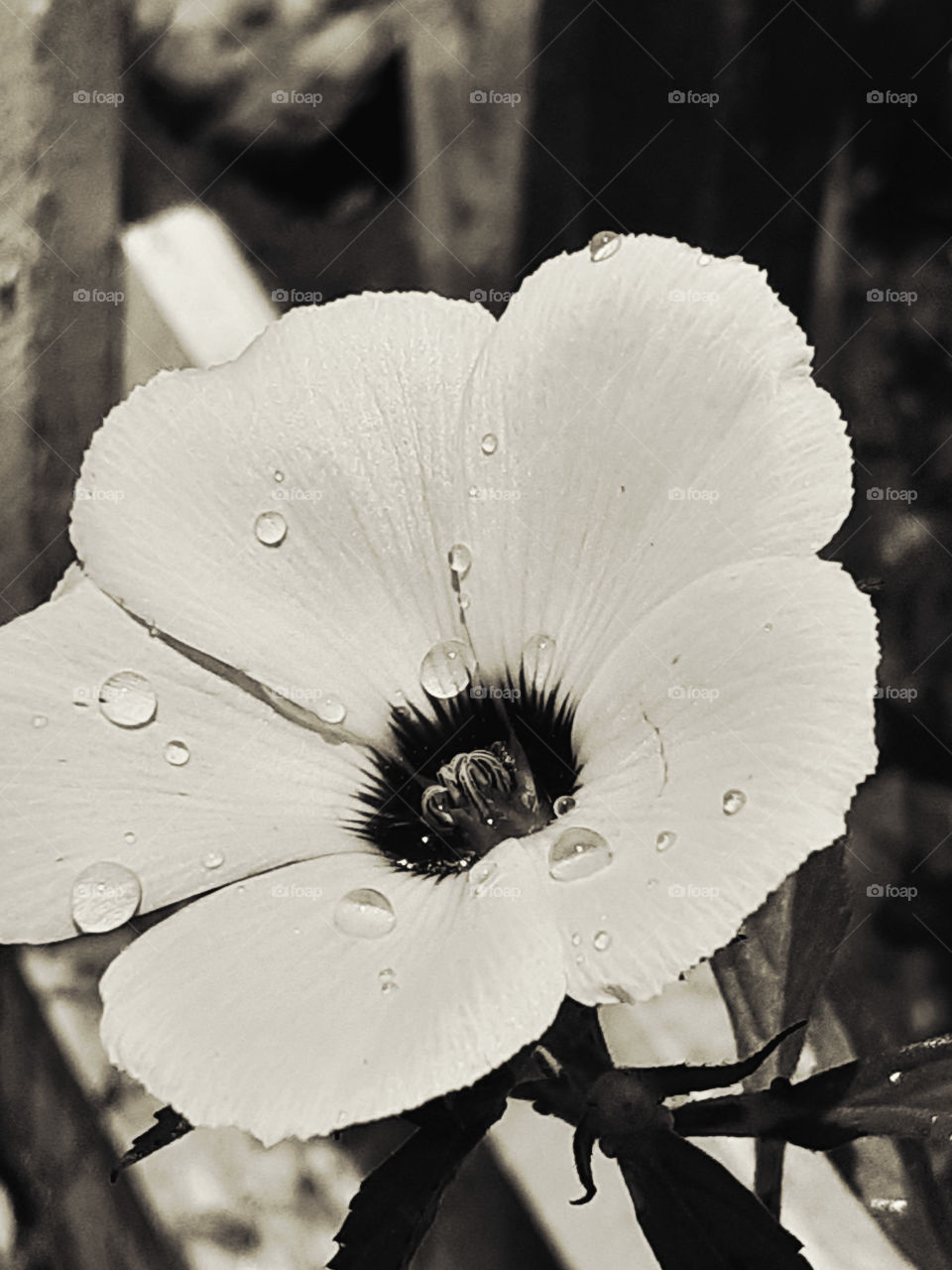 um momento de alegria