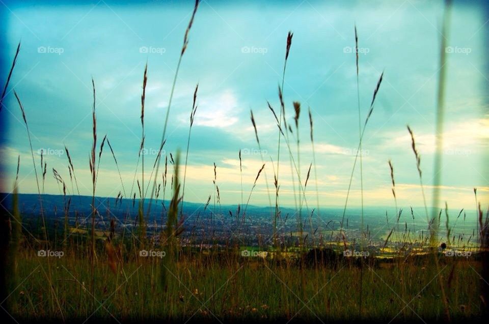 Cleeve Hill