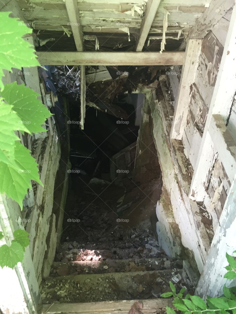 Crumbling Cellar