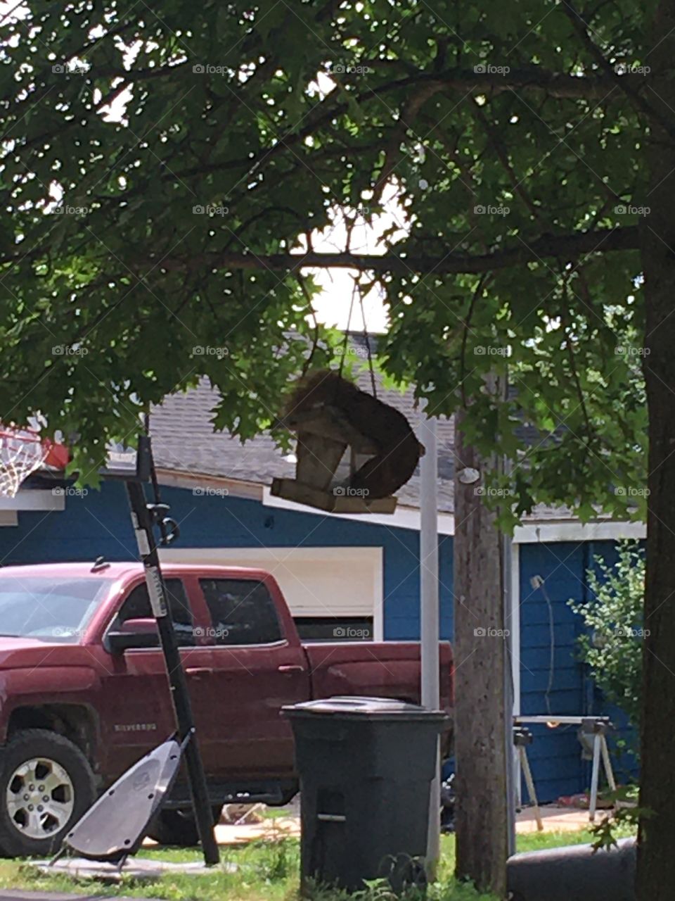 I better get some seed before I get caught it’s a good thing no one’s looking! Good stuff