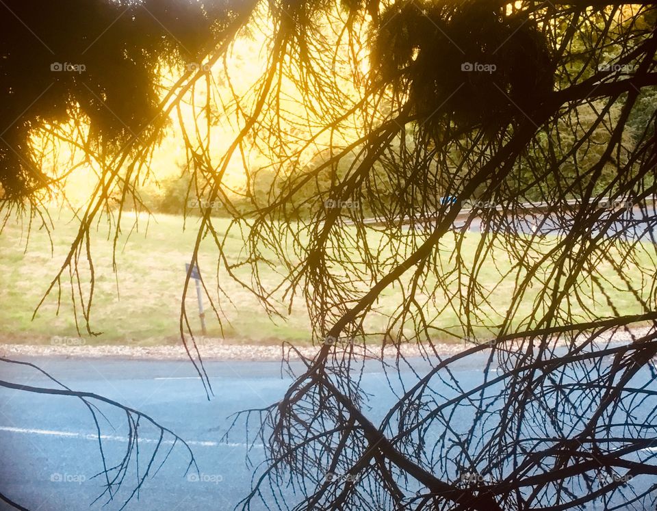 Obscured view of hairpin bend at Milbrook Vehicle Proving Ground, Bedfordshire

