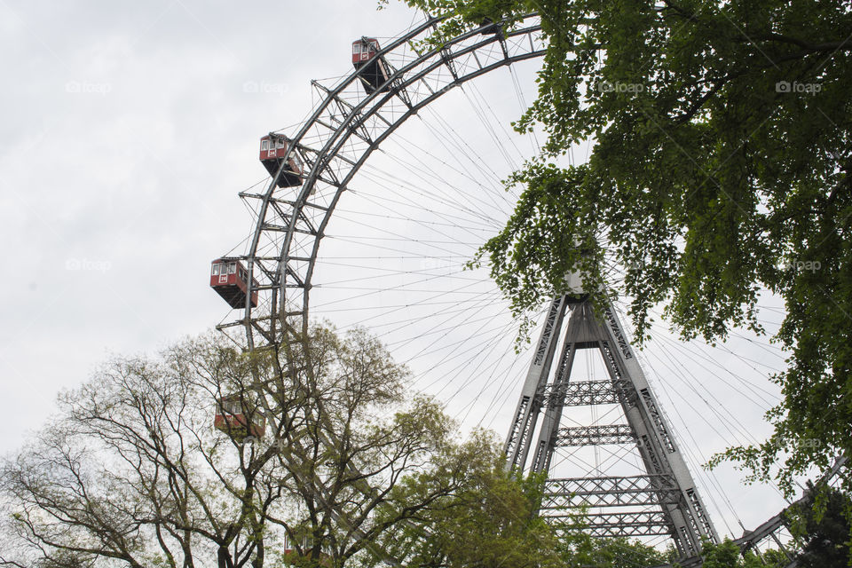 Ferris wheel behind trees