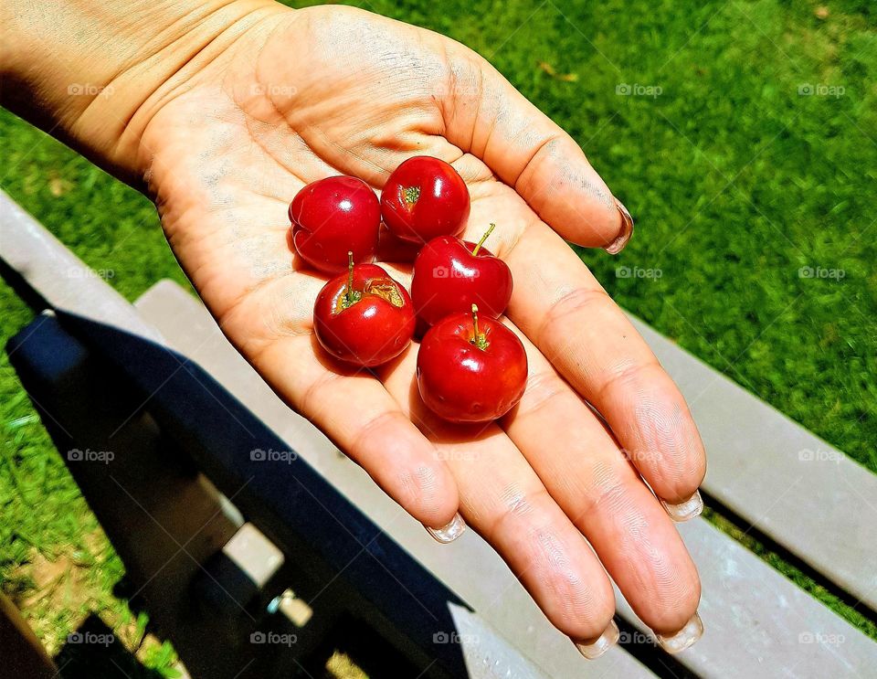 acerola fresca