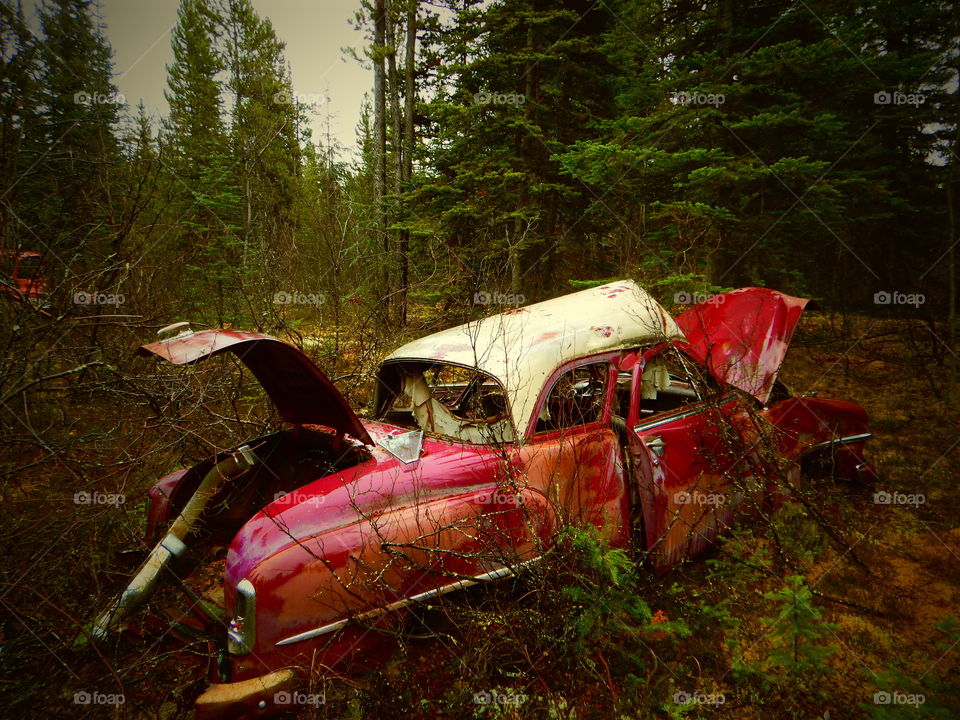 Abandoned vehicle northern Canada 