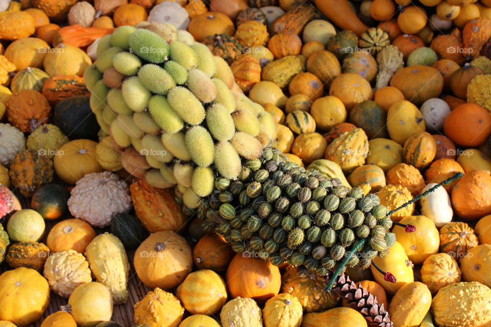 snail made from different exotic fruits and pumpkins