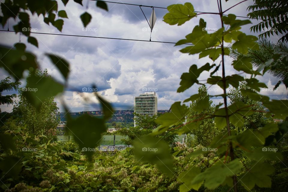 view of a building through branches of a tree