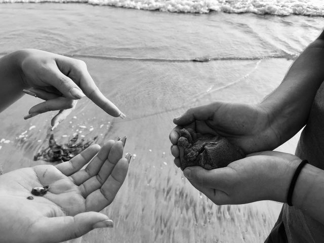 Hands at the Beach