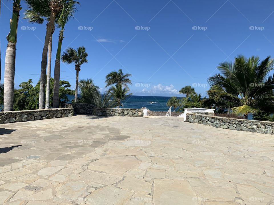 Beach, Sand, Palm, Travel, Sun