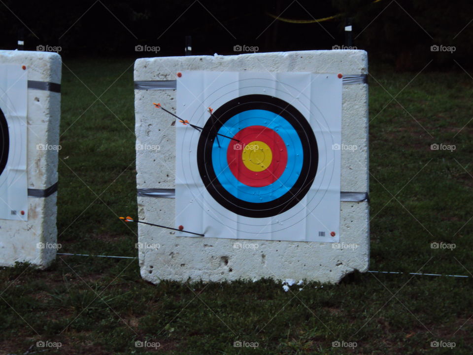 arrows at the target